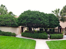 Villas at Grand Cypress