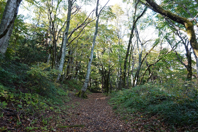 鳥取県西伯郡大山町大山　僧兵コース