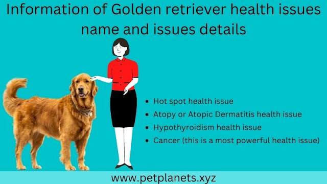 Golden retriever health issues