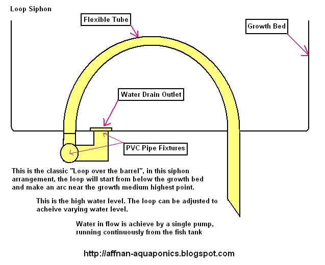 Affnan's Aquaponics: Aquaponics Siphons - Part II