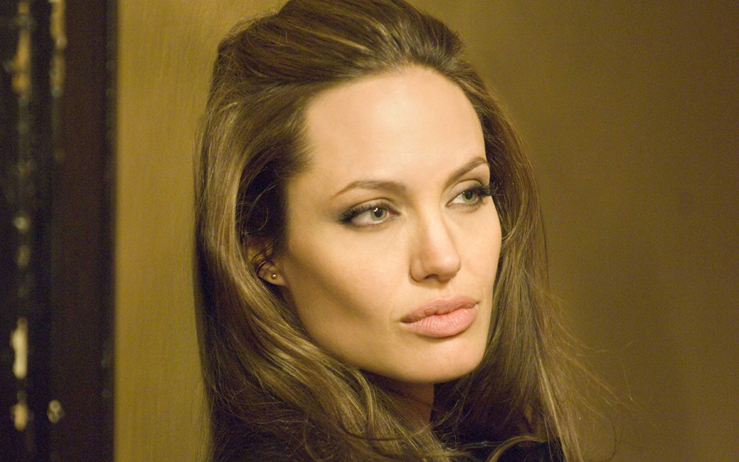 Angelina Jolie Wallpapers Hd Angelina Jolie Desktop HD Wallpapers Download Free Images Wallpaper [wallpaper981.blogspot.com]