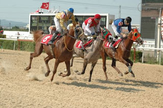 16.09.2013 Bursa at yarışı Tahminleri