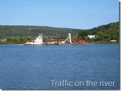 bIMG_5861