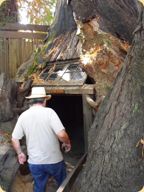 Avenue of the Giants-Ancient Redwoods 060