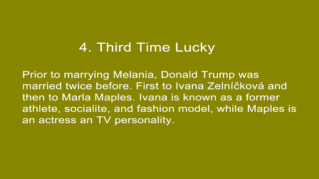 Melania Trump Career 