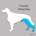 Signs and Symptoms of Dog Urination Problems