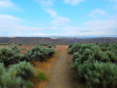 Trail Through the Sagebrush