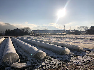 【20201205】雪のある風景