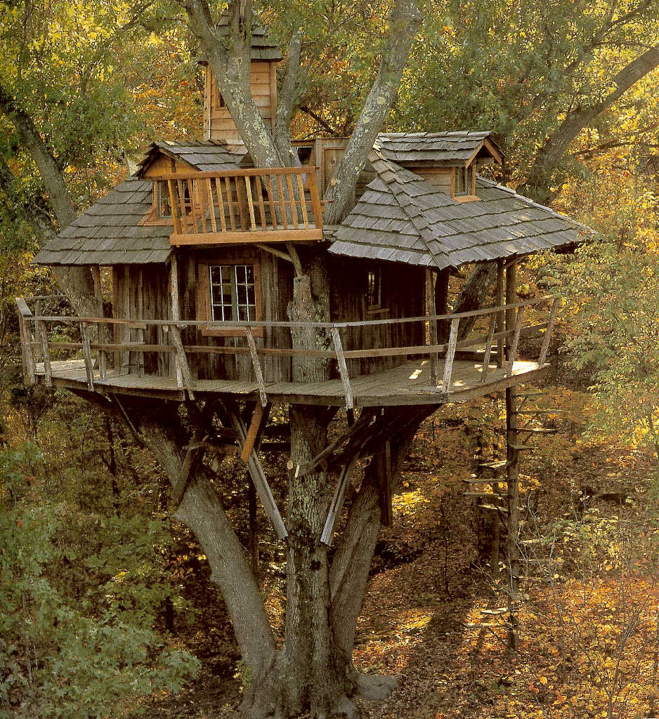 Amazing Tree Houses