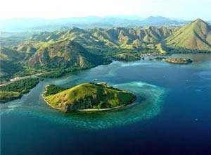 Taman Nasional Teluk Cenderawasih terletak di Papua atau lebih tepatnya di Papua Barat. Kekayaan biota laut adalah karakteristik yang sangat indah dari taman laut dengan perairan terluas di Indonesia.