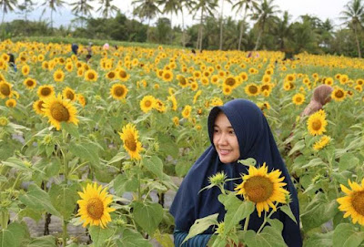 Lokasi Taman Dewari Magelang