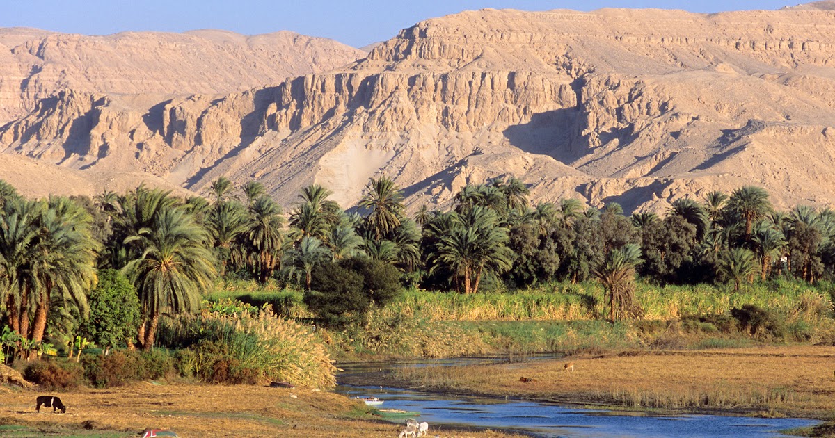 Kisah Umar Hantar Surat Kepada Sungai Nil