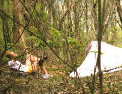 small campsite in woods