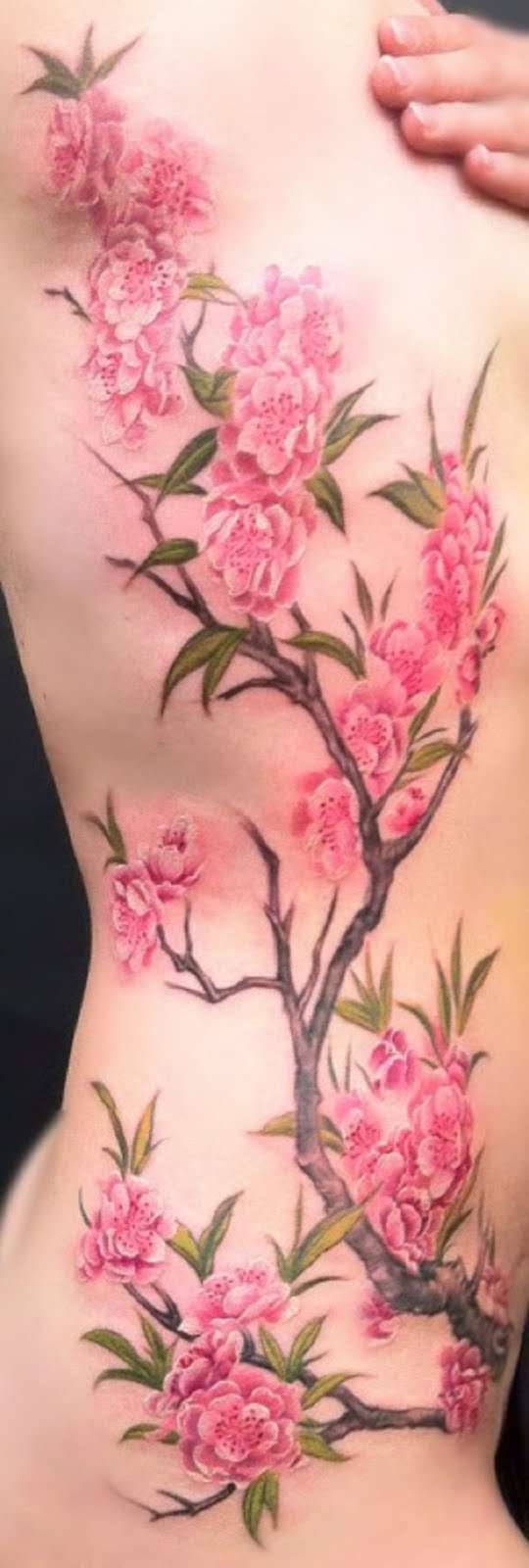 Muito suavemente fechou de flor de cerejeira da tatuagem. Você quase pode sentir a maciez das pétalas com a forma leve e inocente, o projeto é criado. Verdadeiramente belo e capta a essência das flores de cerejeira. (Foto: Fontes de imagem)