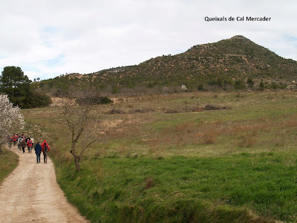 Vista vers el nord-oest dels Queixals de Cal Mercader des del Camí de les Casetes d'en Vives