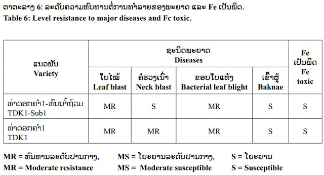 ລັກ​ສະ​ນະ ​ທາງວິ​ທະ​ຍາ​ສາດ ຂອງ​ເຂົ້າ ທ່າ​ດອກ​ຄຳ 1