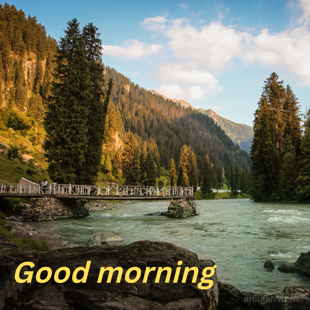 nature morning images