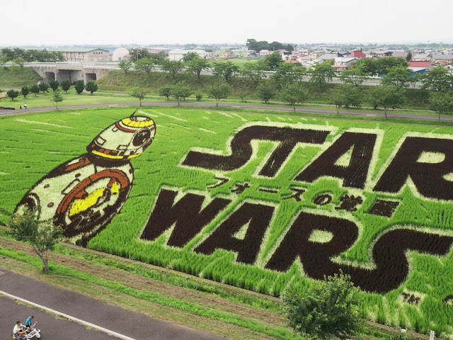 道の駅いなかだて 田んぼアート2015 STAR WARS スター・ウォーズ