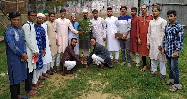 ছাত্রসেনা ৪নং বাহারচরা ইউনিয়ন শাখার ব্যবস্থাপনায় বৃক্ষরোপন কর্মসূচি সম্পন্ন