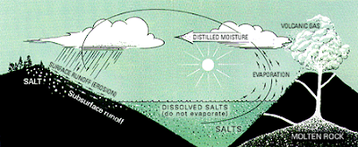 http://asalasah.blogspot.com/2013/01/penjelasan-ilmiah-kenapa-air-laut-itu.html