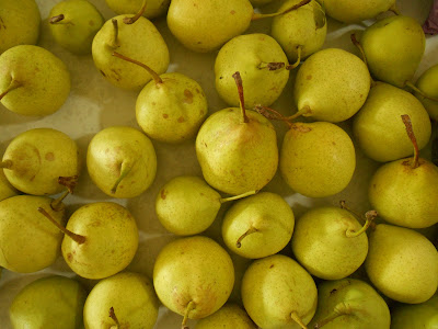 Yali Asian Pears on counter