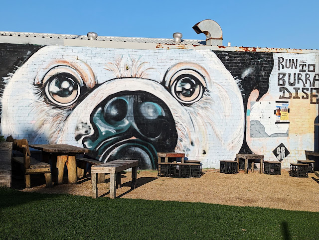 Culburra Beach Street Art by Shannon Boyd