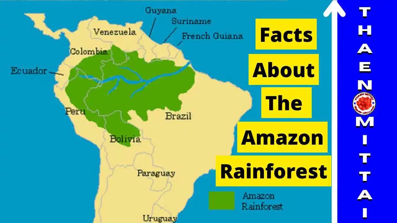 Facts About Amazon River, ThaenMittai Stories