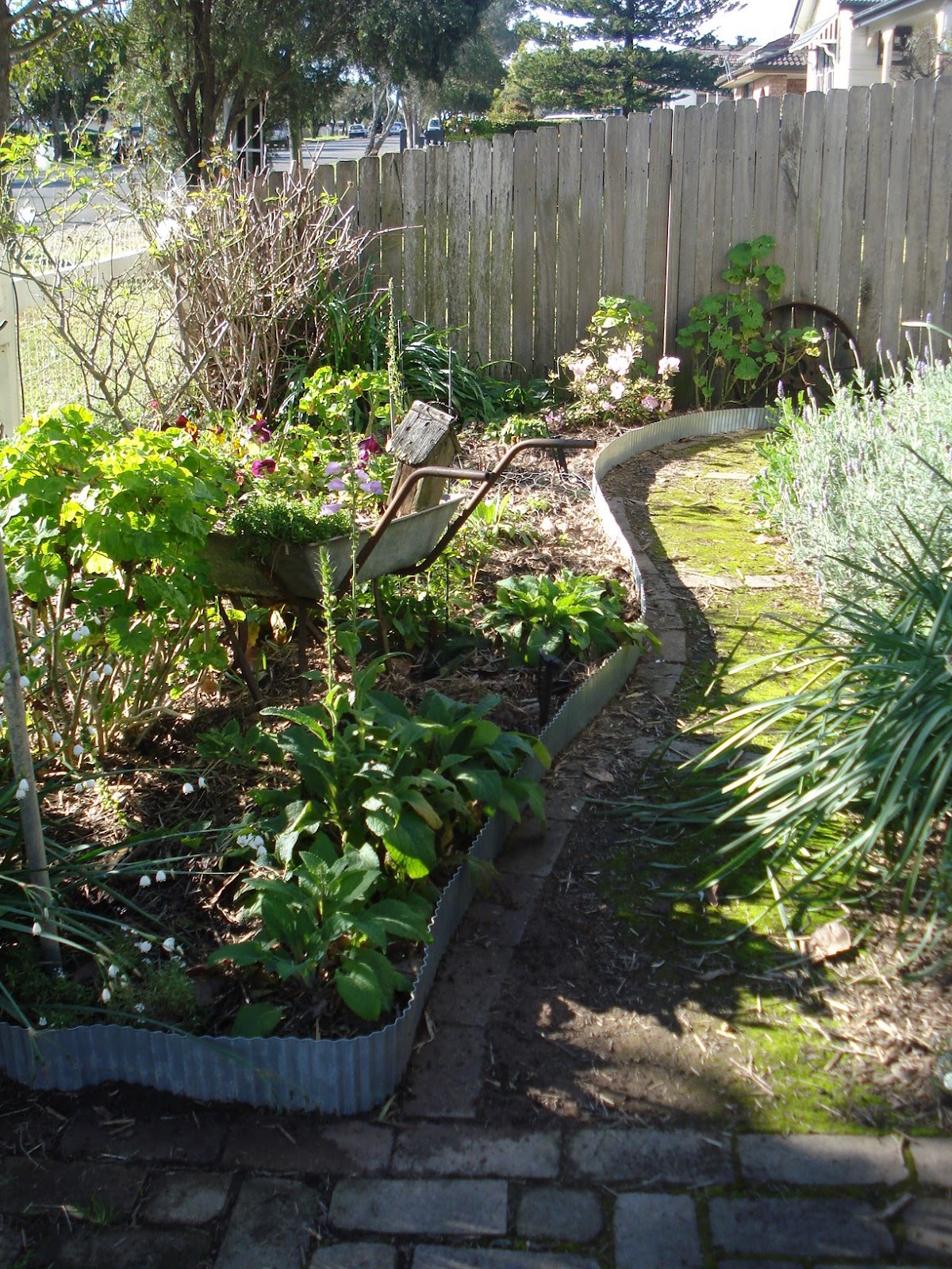 Iron Landscape Edging