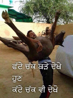 Punjabi funny photos for FB