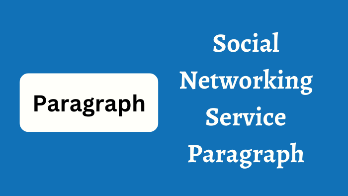 Social Networking Service Paragraph