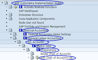 Accounts in SAP, SAP FICO