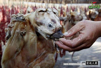 Pict: Proses Pembuatan Dendeng Anak Anjing di China