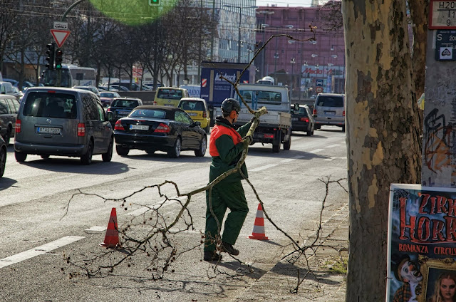 Baustelle Baumfällarbeiten, Otto-Braun-Straße / Mollstraße, 10178 Berlin, 13.02.2014