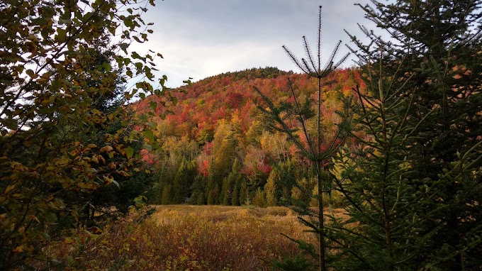 Mount Marshall (NY, USA) - 4,364 ft (1,330 m)