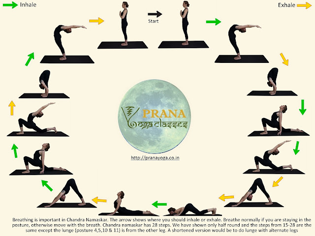 yogasanas