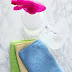 Monthly Clean Home Challenge: Wash Windows