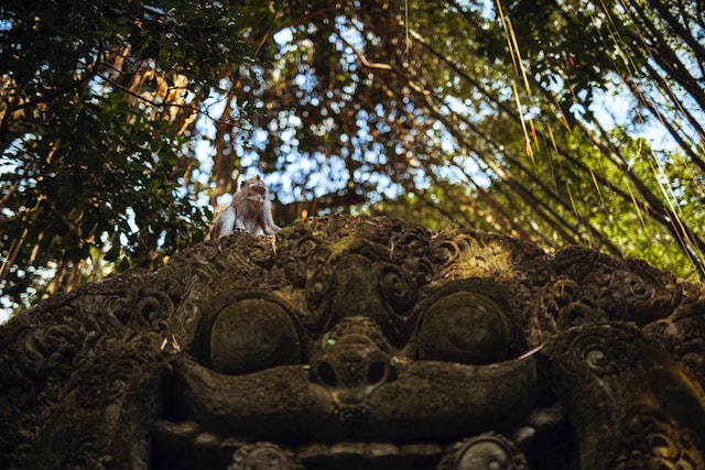 Ubud, Bali - Cultural haven and natural serenity.