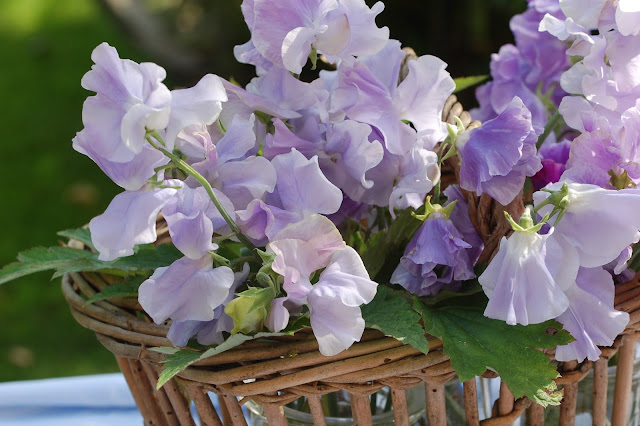 flowers in basket