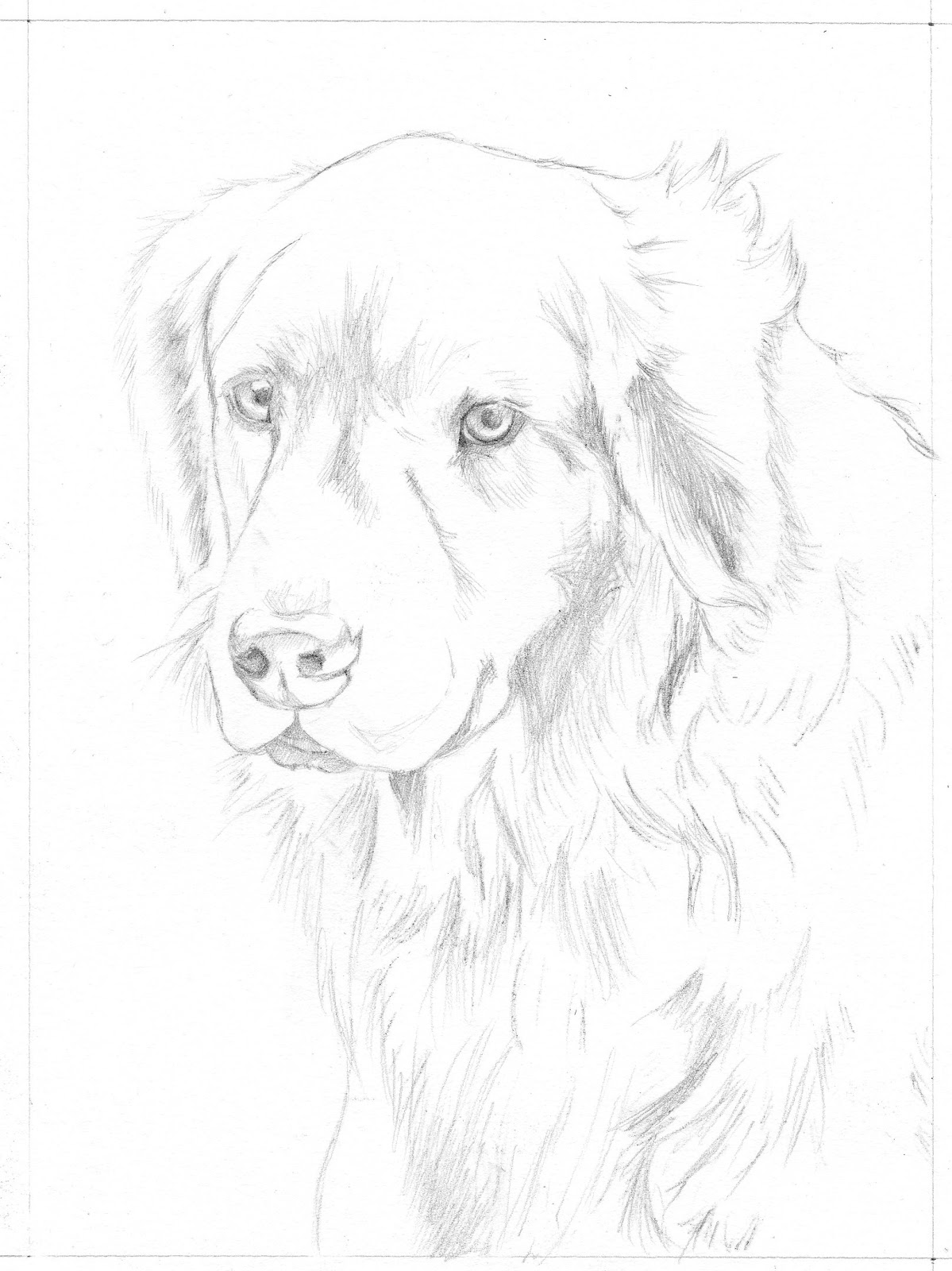 Download Golden Retriever Color Disegni Da Colorare Imagixs Sketch Coloring Page