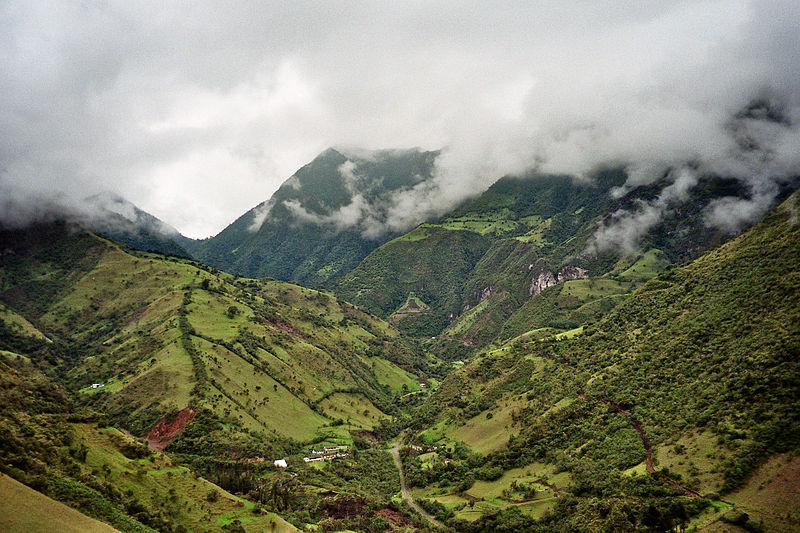 MINDO-NAMBILLO CLOUD FOREST