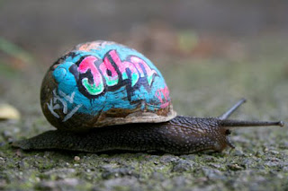 amazing snails graffiti