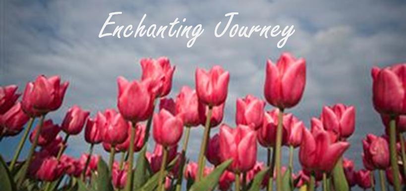 Enchanting Journey