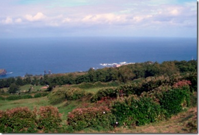 DSC01021