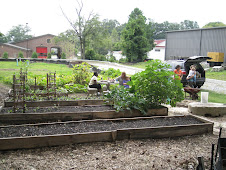 Norcross Charity Garden