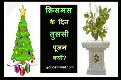 क्रिसमस के दिन तुलसी पूजन क्यों? (Why Tulsi worship on Christmas day?)