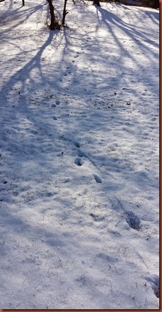 20150107_093012