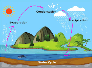 water evaporate and goes up. After condensation, it forms cloud. Then rain and water come back to the earth.