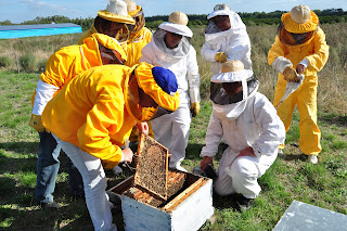 Varroa kontrolü yapan arıcı grubu