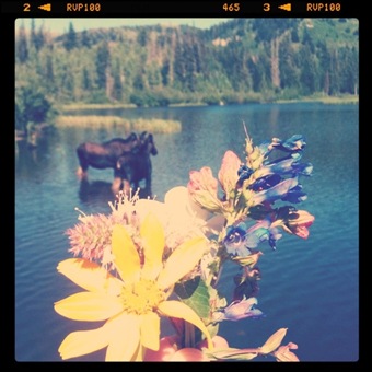 photo(7)