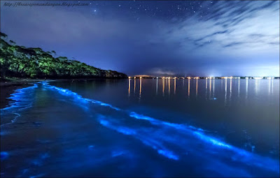 Pernah Mengetahui Pantai Yang Bersinar Pada Saat Malam Hari